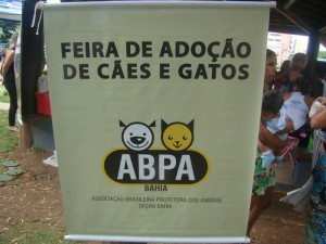 Foto-Feira_(9)